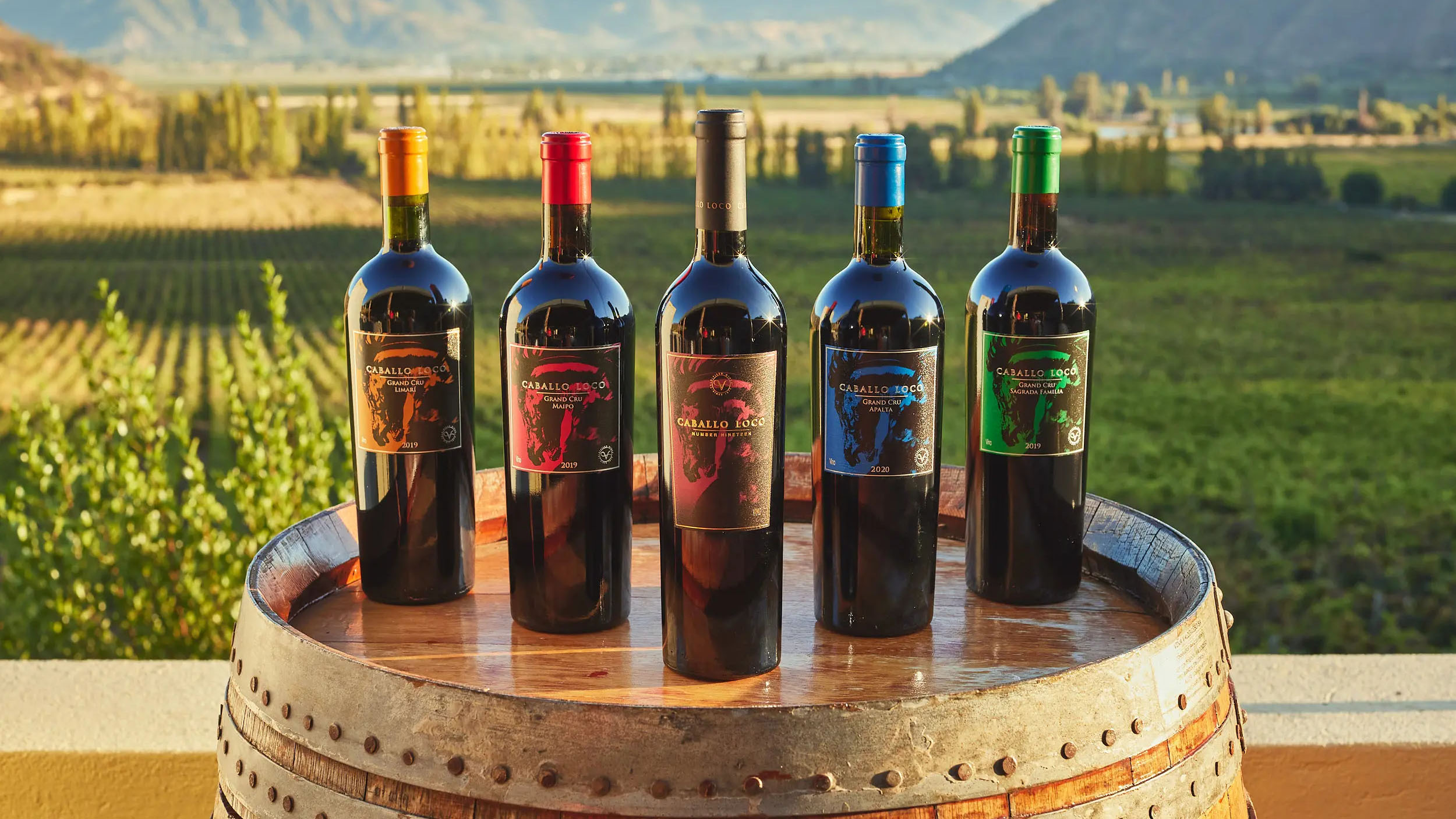 vinos-caballo-loco